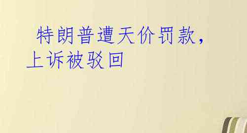  特朗普遭天价罚款，上诉被驳回