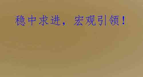  稳中求进，宏观引领！