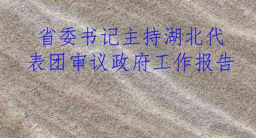  省委书记主持湖北代表团审议政府工作报告
