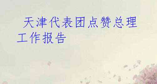  天津代表团点赞总理工作报告
