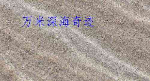  万米深海奇迹