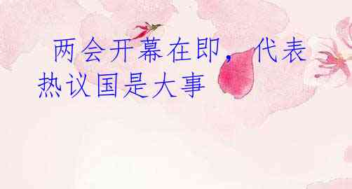  两会开幕在即，代表热议国是大事