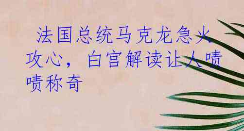  法国总统马克龙急火攻心，白宫解读让人啧啧称奇