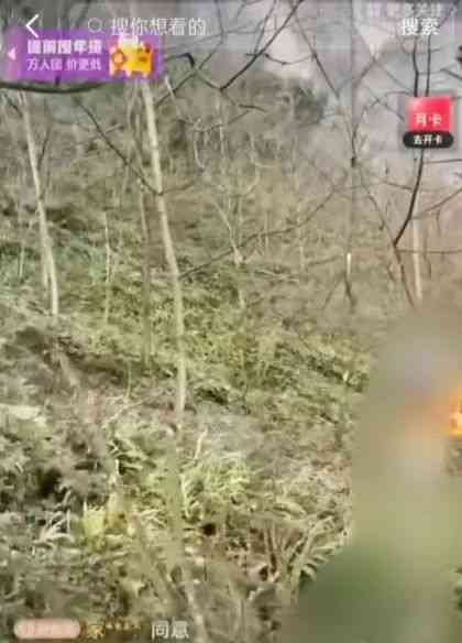  直播间虚假事件真相揭秘