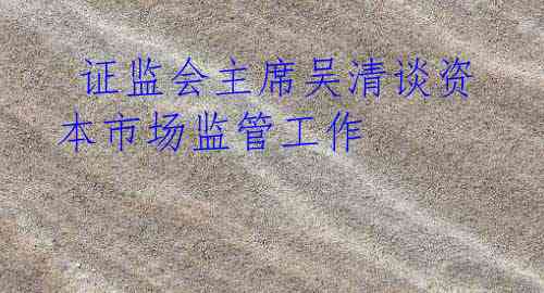  证监会主席吴清谈资本市场监管工作