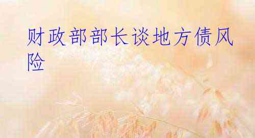财政部部长谈地方债风险