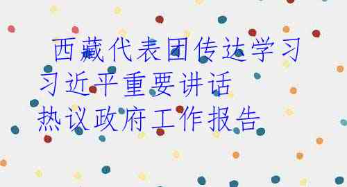  西藏代表团传达学习习近平重要讲话 热议政府工作报告