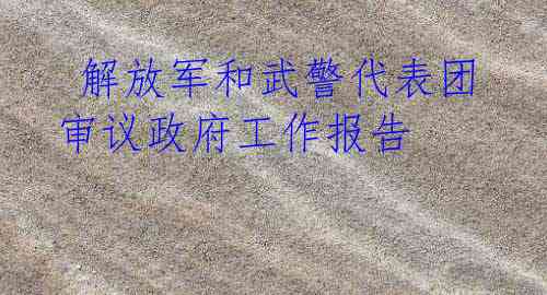  解放军和武警代表团审议政府工作报告