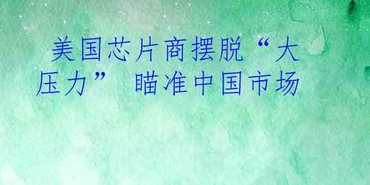  美国芯片商摆脱“大压力” 瞄准中国市场