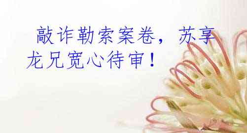  敲诈勒索案卷，苏享龙兄宽心待审！