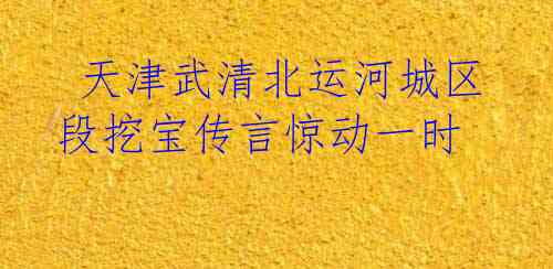  天津武清北运河城区段挖宝传言惊动一时