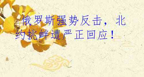  俄罗斯强势反击，北约挑衅遭严正回应！