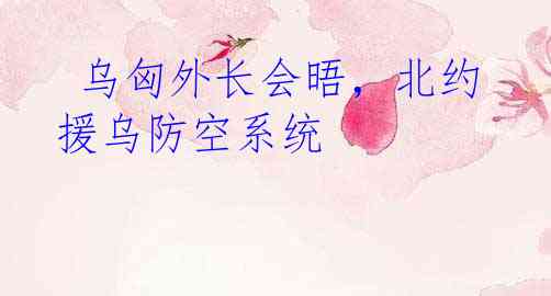 乌匈外长会晤，北约援乌防空系统
