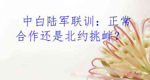  中白陆军联训：正常合作还是北约挑衅？