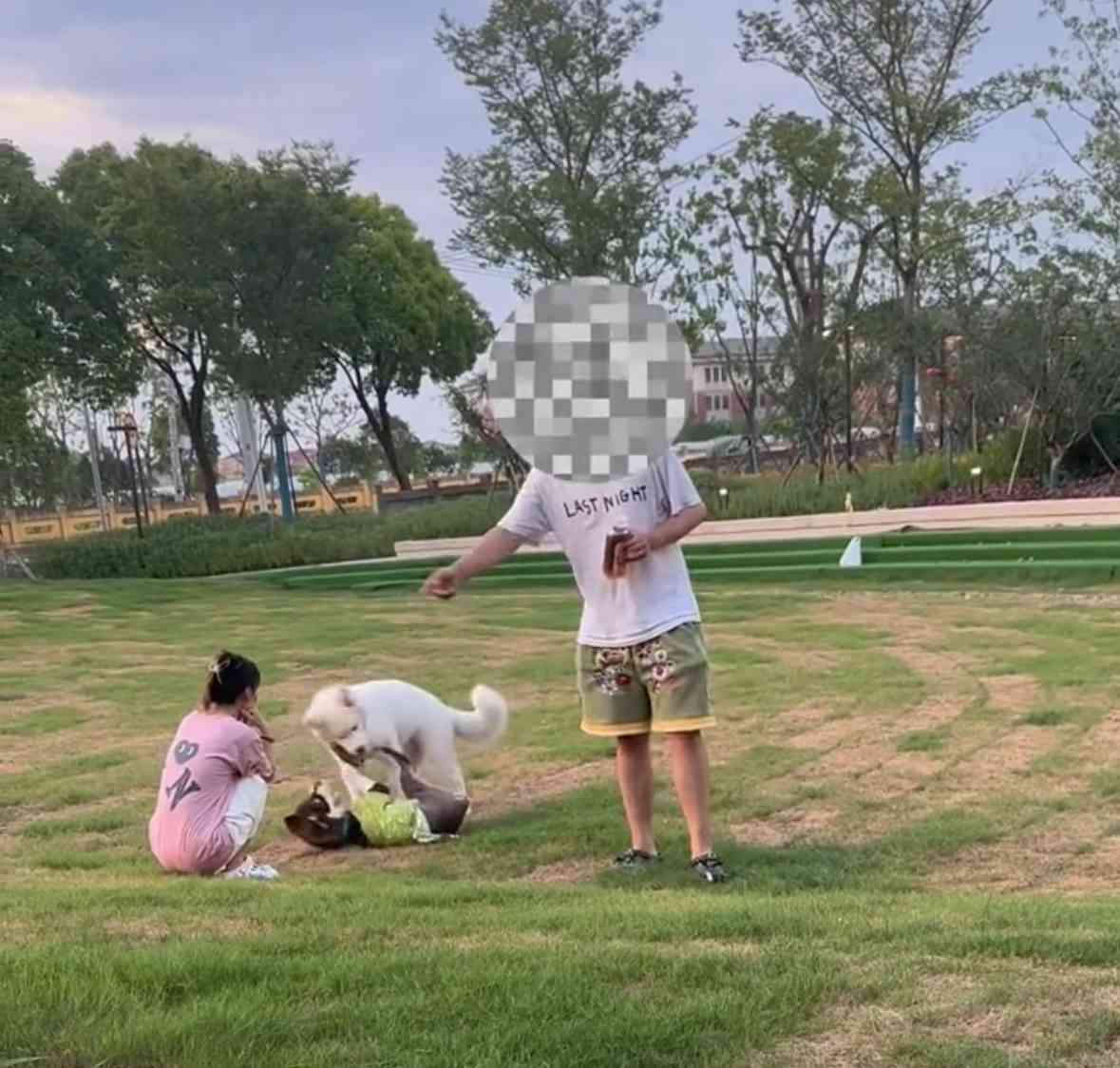 上海公园惊险一幕：狗追童引发家长争议