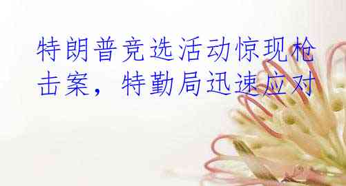 特朗普竞选活动惊现枪击案，特勤局迅速应对