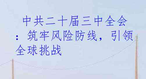  中共二十届三中全会：筑牢风险防线，引领全球挑战