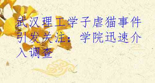 武汉理工学子虐猫事件引发关注：学院迅速介入调查