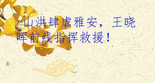  山洪肆虐雅安，王晓晖前线指挥救援！