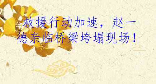  救援行动加速，赵一德亲临桥梁垮塌现场！