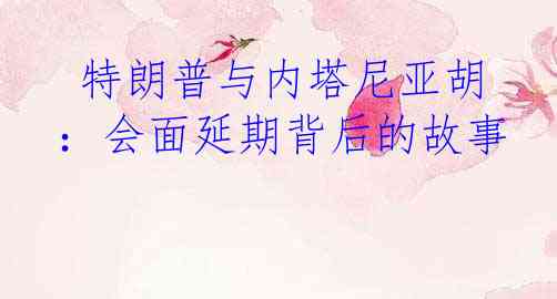  特朗普与内塔尼亚胡：会面延期背后的故事
