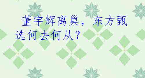  董宇辉离巢，东方甄选何去何从？
