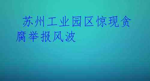  苏州工业园区惊现贪腐举报风波