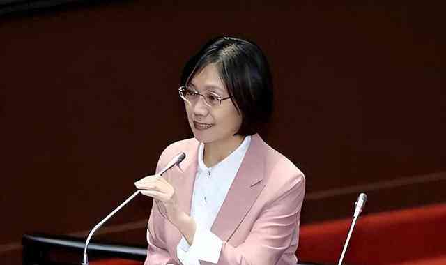 台湾政坛风波再起：民进党挑战民意机构改革法案