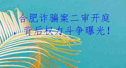  合肥诈骗案二审开庭，背后权力斗争曝光！