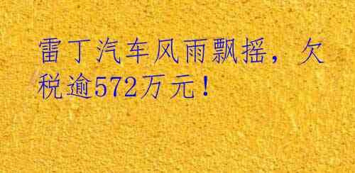 雷丁汽车风雨飘摇，欠税逾572万元！